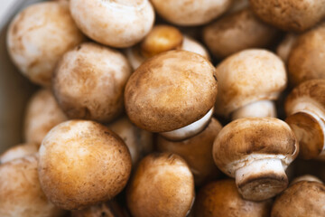 Fresh  mushrooms champignon in  bowl on white background.  Copy space.