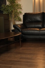 部屋, 長いす, 家具, くつろいで, 生計, デザイン, カウチ, いす, 壁, 家, ゆか, ひじ掛け椅子, テーブル, アパート, ランプ, 快適な, 同年齢の人, 豪華さ, 建築, 装飾物, スタイル, ラウンジ, 木, 屋内の