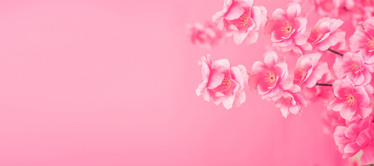 Obraz na płótnie Canvas rose red peach blossom fashion promotion poster