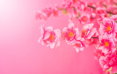 Fototapeta na wymiar rose red peach blossom fashion promotion poster