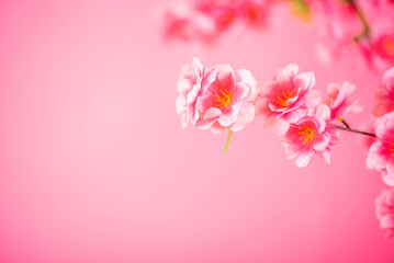 romantic peach blossom poster background
