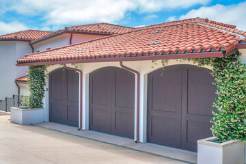 Three brown side-hinged garage doors and two concrete planters with vines
