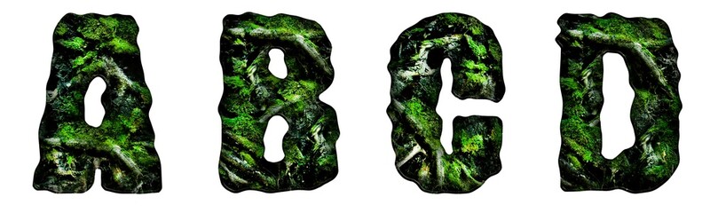 Letters A, B, C, D made from tree roots and moss