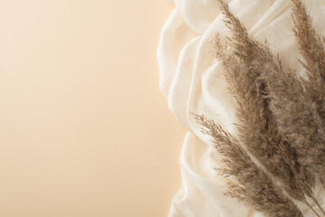 Top view photo of white light textile and pampas grass on isolated beige background with empty space