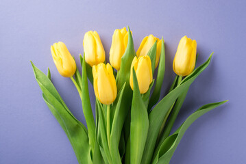 Top view photo of woman's day composition bunch of yellow tulips on isolated pastel purple background
