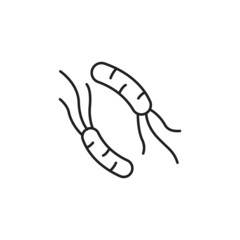 Helicobacter pylori icon. High quality black vector illustration.