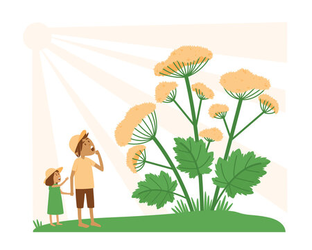 Illustration on isolated background with kids looking at dangerous hogweed. The spread of hogweed has upset the ecological balance. Flat vector illustration.