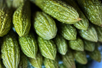 Balsam Apple