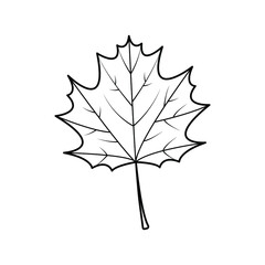 Maple Leaf outline.For  icon; logo on white background.
