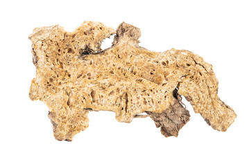 Close-up of Chinese herbal medicine Atractylodes