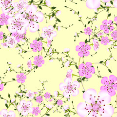 Seamless floral background  of branches pink Japanese cherry flower on cream background in a random arrangement square format suitable for textile. Sakura floral pattern, vector illustration 