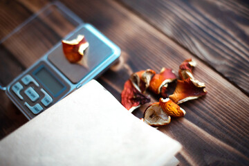 Dried pieces of mushroom fly agaric on table with scales. Measurement of microdose, microgram of...