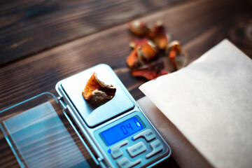 Dried pieces of mushroom fly agaric on table with scales. Measurement of microdose, microgram of...