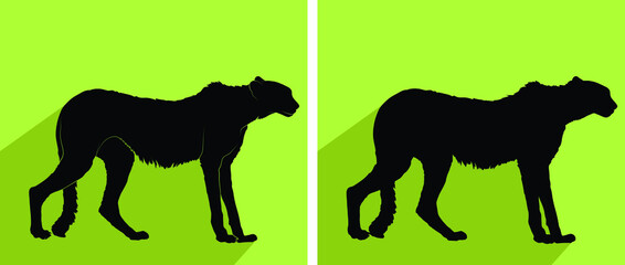 Cheetah logo vector
