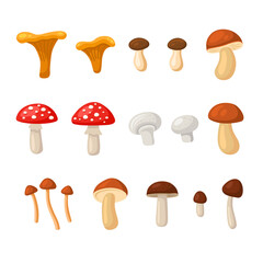 Mushrooms Set. Cartoon Style on White Background. Vector
