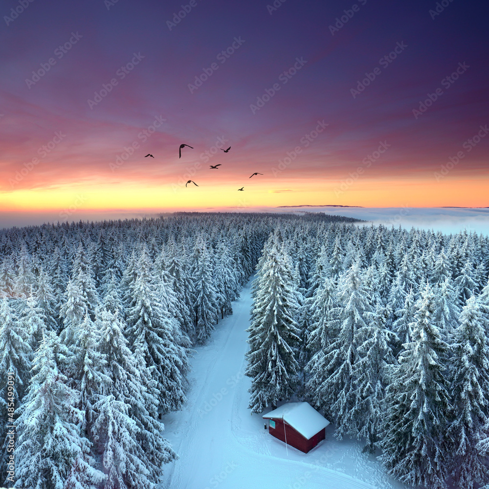 Wall mural verschneiter Winterwald, Sonnenuntergang