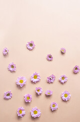 Beautiful light purple flower background copy space flat lay veri peri pink pastel watecolor wedding background