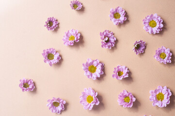 Beautiful light purple flower background copy space flat lay veri peri pink pastel watecolor wedding background