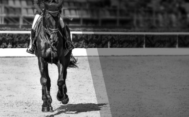 Rider and horse in jumping show, black and white. Beautiful girl on horse, monochrome, equestrian sports. Horse and girl in uniform going to jump. Horizontal web header or banner design.