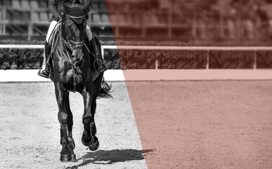 Rider and horse in jumping show, black and white. Beautiful girl on horse, monochrome, equestrian...