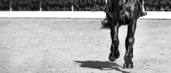 Rider and horse in jumping show, black and white.