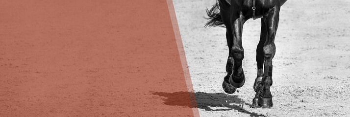 Rider and horse in jumping show, black and white. Beautiful girl on horse, monochrome, equestrian...