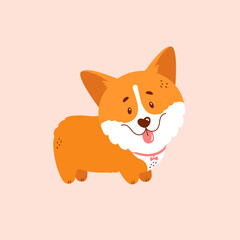 Welsh corgi puppy isolated on pink background. Cute dog character. Vector illustration.