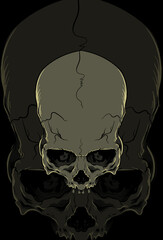 Skull vector illustration hand drawing