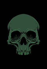 Skull vector illustration hand drawing