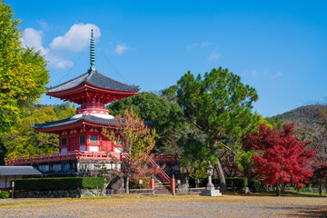 京都　大覚寺の心経宝塔（しんぎょうほうとう）と紅葉　