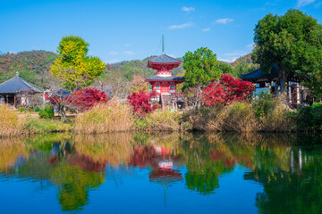 京都　大覚寺　大沢池の紅葉