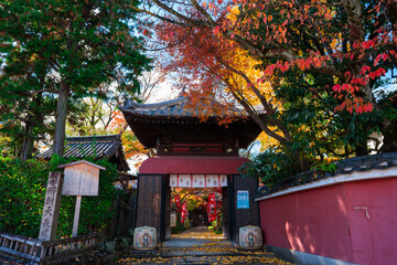 京都　伏見　長建寺の紅葉