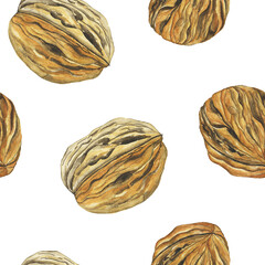 Watercolor walnut seed seamless pattern on white background. Hand drawing illustration. Nut texture for food wallpaper, textile.