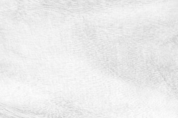 Obraz premium White wood surface texture background