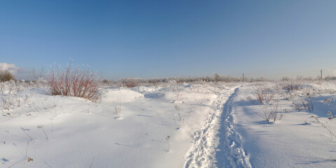 Fototapeta na wymiar Winter walk through forests and fields, beautiful panorama.