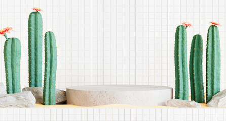 concrete podium with cactus for product display.