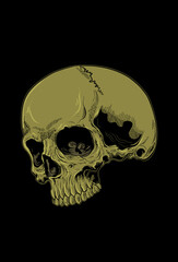 Head skull artwork vector illustration