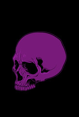 Head skull artwork vector illustration