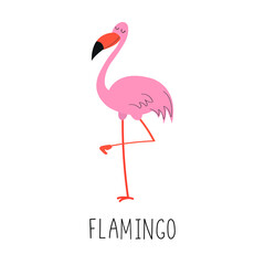 An illustration of a cute cartoon style flamingo. Pink tropical bird. Education card. Isolated on white.