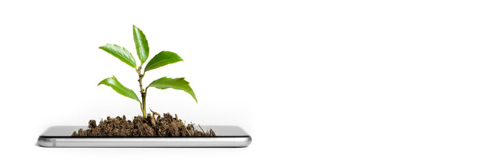 the plant grows on the tablet. business concept