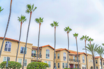 Residential complex building with palm trees at the front at Carlsbad, San Diego, California