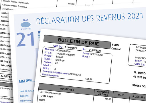 French 2021 Income Tax Return and Pay Slip