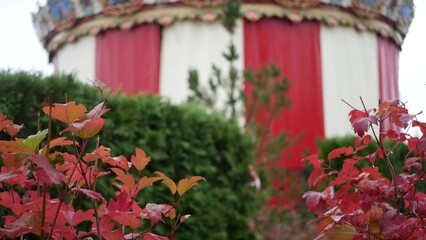 Fototapety na wymiar - Fototapeta24.pl