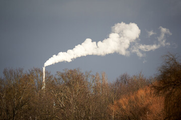 Fototapeta na wymiar Chimney with white smoke behind bare trees in winter. Pollution by carbon monoxide and dioxide.