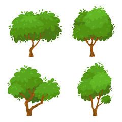 Cartoon green trees. Spring or summer plant with foliage for park, garden or forest. Botanical greenery for environment. Outdoor fresh plants with leaves isolated elements vector set