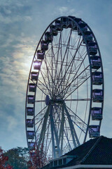 ferris wheel in the park