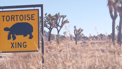 Tortoise or turtle crossing warning yellow road sign, California USA. Wild animals xing traffic...