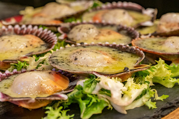 Vieiras listas para comer en restaurante