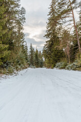 Empty snow covered road in winter landscape.Snowy Road through a forest Landscape in Winter Cloudy Day.