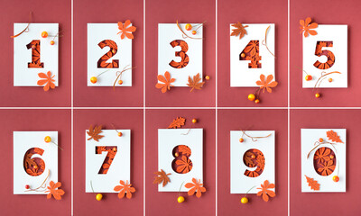 Numbers one to ten and zero outlines on off white and red paper. Composite image. Red autumn maple...